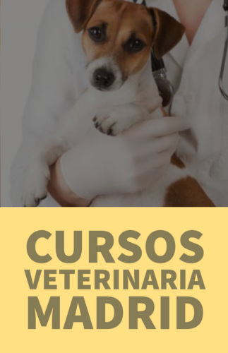 cursos veterinaria madrid