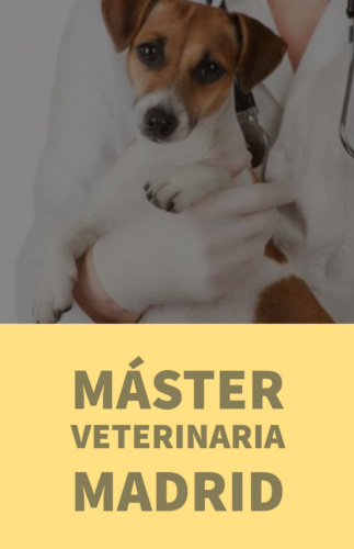 master veterinaria madrid